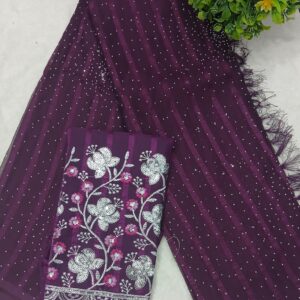 Stunning Popcorn Heavy Stone Work Saree with Grand Chumki Designer Blouse